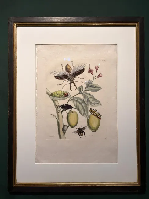 Deutschland und Natur Ausstellung im Deutschen National Museum